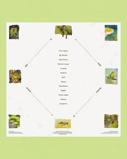 God Is A Frog Heaven Is A Swamp Vinyl