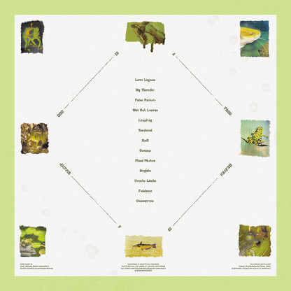 God Is A Frog Heaven Is A Swamp - Green Jade Vinyl