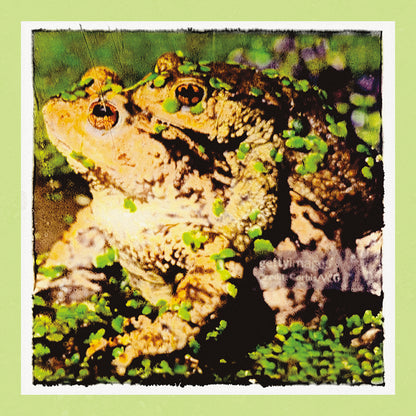 God Is A Frog Heaven Is A Swamp - Green Jade Vinyl
